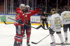Hannover Indians , Eishockey
