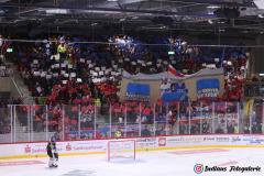 SZ_Halle-Indians_0700