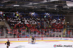 SZ_Halle-Indians_0749