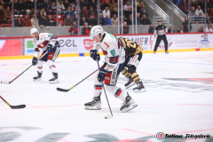 SZ_Halle-Indians_0814