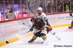 SZ_Halle-Indians_0831