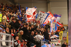 SZ_Halle-Indians_0880