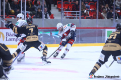 SZ_Halle-Indians_0897