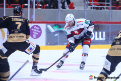 SZ_Halle-Indians_0899