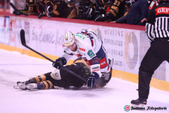 SZ_Halle-Indians_1008