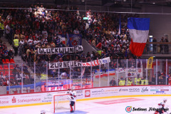 SZ_Halle-Indians_1166