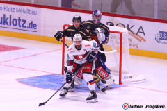 SZ_Halle-Indians_1199