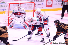 SZ_Halle-Indians_1373