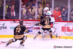 SZ_Halle-Indians_2204