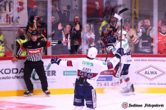 SZ_Halle-Indians_2276