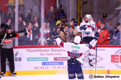 SZ_Halle-Indians_2278