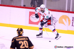 SZ_Halle-Indians_2355