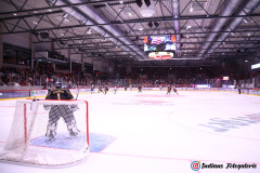 SZ_Halle-Indians_2372