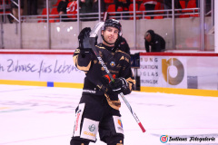 SZ_Halle-Indians_2490