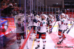 SZ_Halle-Indians_2530