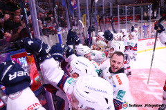 SZ_Halle-Indians_2547