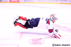 SZ_Halle-Indians_2614