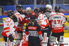 SZ_ECH-Halle_0159