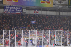 SZ_ECH-Scorpions_0100