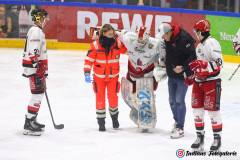 SZ_ECH-Scorpions_0130