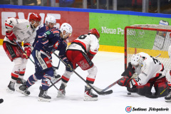 SZ_ECH-Scorpions_0186