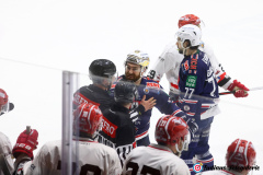 SZ_ECH-Scorpions_0198