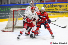 SZ_ECH-Scorpions_0056