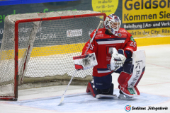 SZ_ECH-Scorpions_0083