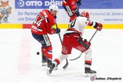 SZ_ECH-Scorpions_0140