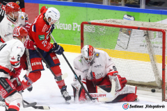 SZ_ECH-Scorpions_0143