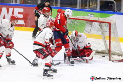 SZ_ECH-Scorpions_0144