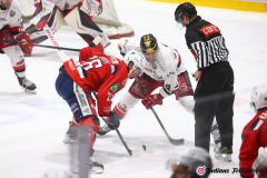 SZ_ECH-Scorpions_0153