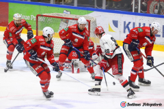 SZ_ECH-Scorpions_0166