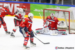 SZ_ECH-Scorpions_0167