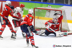 SZ_ECH-Scorpions_0169