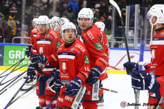 SZ_ECH-Scorpions_0257