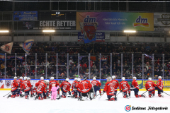 SZ_ECH-Scorpions_0321